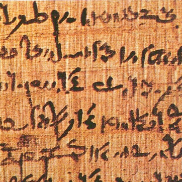 800px-Papyrus